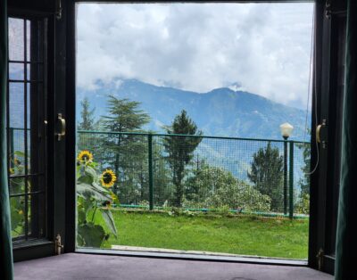 Frosted Red Haven – Deodar