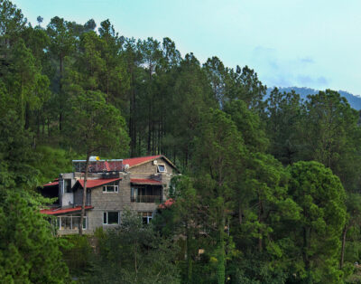 Frosted Forest – Sukh Room