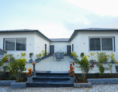 Orange Grove