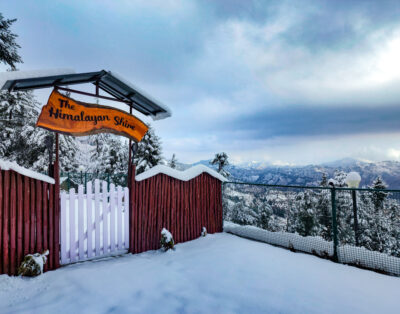 Frosted Red Haven – Mohru