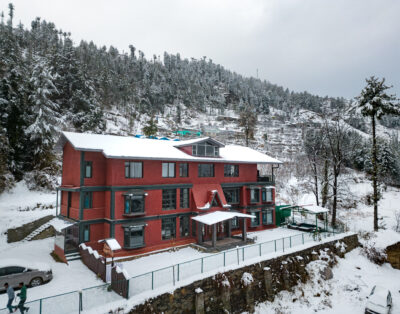 Frosted Red Haven – Walnut
